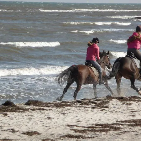 Appartement Ostseeurlaub Auf Gutshof Mit Kamin, Sauna Und Eingezaeuntem Garten *
